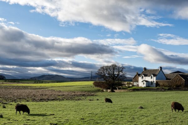 Farmhouse and field